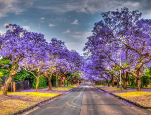 ISWIM Seminar 2021, South Africa